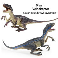Juguete De Dinosaurio Velociraptor Para Niños Con Mandíbula Móvil Juego Y Colección De Dilophosaurus Realista Para Edades 3-12+ - details 3