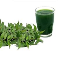 Hojas de Neem en Polvo organico  BIO  Azadirachta indica  Origen India  Neem ayurvedico (100 gr) Samskara - details 1