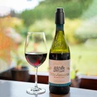 Tapa De Vino a Presión Reutilizable a Prueba De Fugas Con Escala De Fecha Herramienta De Barra Para Botellas De Vino - details 1