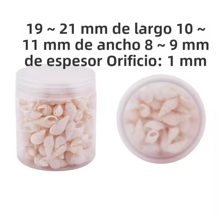 300 Pcs Encantos De Concha De Playa Naturales En Espiral Sin Perforar Para Creación De Joyas Y Manualidades De Verano - 1