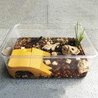 Plataforma De Terraza Para Tortuga Con Ventosa Doble Ruta De Natación En Acuario Suministros De Mascotas Plásticos Para Tortugas - details 7