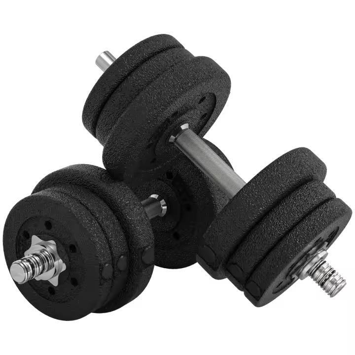 HOMCOM Conjunto de Mancuernas Ajustables de 25kg Juego de Pesas con Discos de 2,5/1,5/1,25 kg y Barras de Conexión de 2 kg Kit de Entrenamiento para Gimnasio en Casa - 1