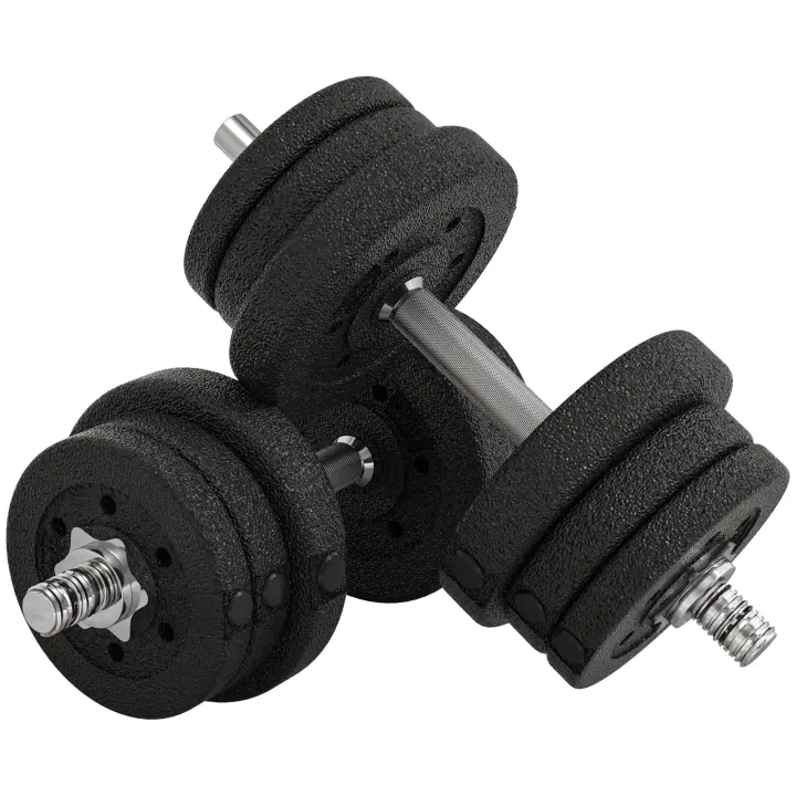 HOMCOM Conjunto de Mancuernas Ajustables de 25kg Juego de Pesas con Discos de 2,5/1,5/1,25 kg y Barras de Conexión de 2 kg Kit de Entrenamiento para Gimnasio en Casa - 1