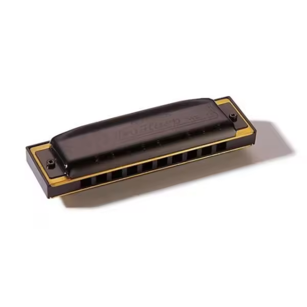 Armónica Hohner Pro Harp 20V 562/20 (A) - 1