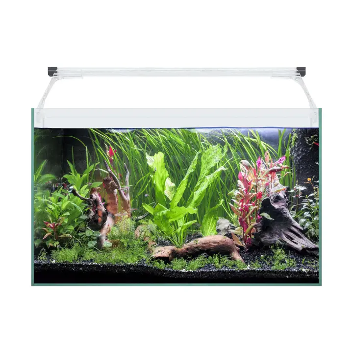 Ica Kit AQUA LIGHT Glass 50 para Acuario - Acuariofilia Transparente - 1