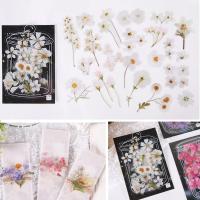 Set de 160 Pegatinas Decorativas Transparentes de Flores y Plantas – Stickers Creativos para Collage, Scrapbooking, Cuadernos, Botellas de Cristal y Manualidades – Sello de Copos con Gran Capacidad - details 4