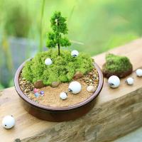 Plantas Artificiales De Hierba De Mostrador Para Decoración De Hogar Y Habitaciones Mini Landscape Falso Grama 20/40/100g Para DIY Crafts Y Jardín - details 5