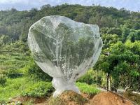 Red De Protección Para Plantas Del Jardín Malla De 60 Agujeros Para Control De Plagas Y Prevención De Pájaros Ideal Para Verduras Flores Y Frutas - details 18
