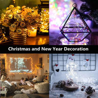 Luces De Garlandas LED Multicolor Para Fiestas Y Bodas Decoración De Cumpleaños DIY Regalo Para Madre's Day Fuente De Energía Almacenada En Batería Forma De Aves De Fuego - details 7