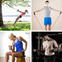 Maxia Market Fitness Bandas Elásticas de Resistencia Deportiva para Pilates y Gimnasio en Casa - details 2