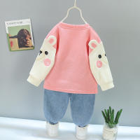 Ropa Infantil Bebé Niñas Primavera Otoño Conjunto De 2 Piezas Camiseta Pantalones Algodón Casual Unisex Talla Pequeña - details 4
