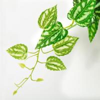 1/2PCS Simulación De Planta De Pared Verde Para Interior Decoración De Flores Rattan Falsas Hojas Verdes Begonia Adorno De Pared Colgante De Plástico - details 14