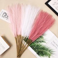 30PC Falsas Pampas Artificiales De 55CM Para Decoración De Bodas Y Fiestas DIY Flores Silken Ramo Para Decoración Del Hogar Y Eventos - details 1