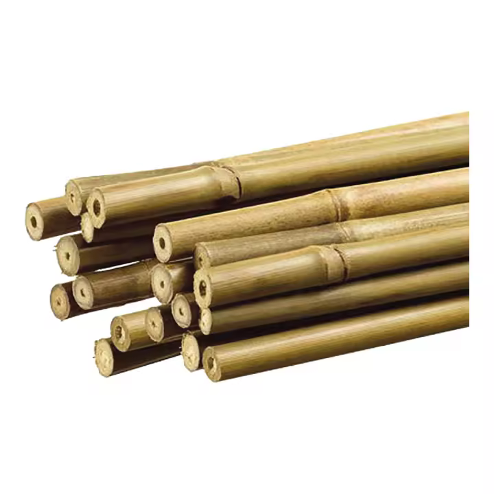 TUTOR DE BAMBÃš DECORATIVO COLOR NATURAL Ã˜1,1cm x1,20m  NORTENE - 1