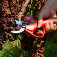 Tijera de poda a batería con hoja de titanio 500W Altuna AB25 - details 0