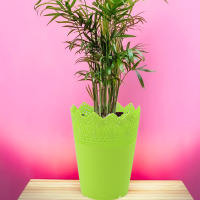 Maceta Pequeña Para Plantas Flower Pot Plástico Hueco Soporte Para Semillas Y Plantas En Crecimiento Armario De Almacenamiento Decorativo - details 4