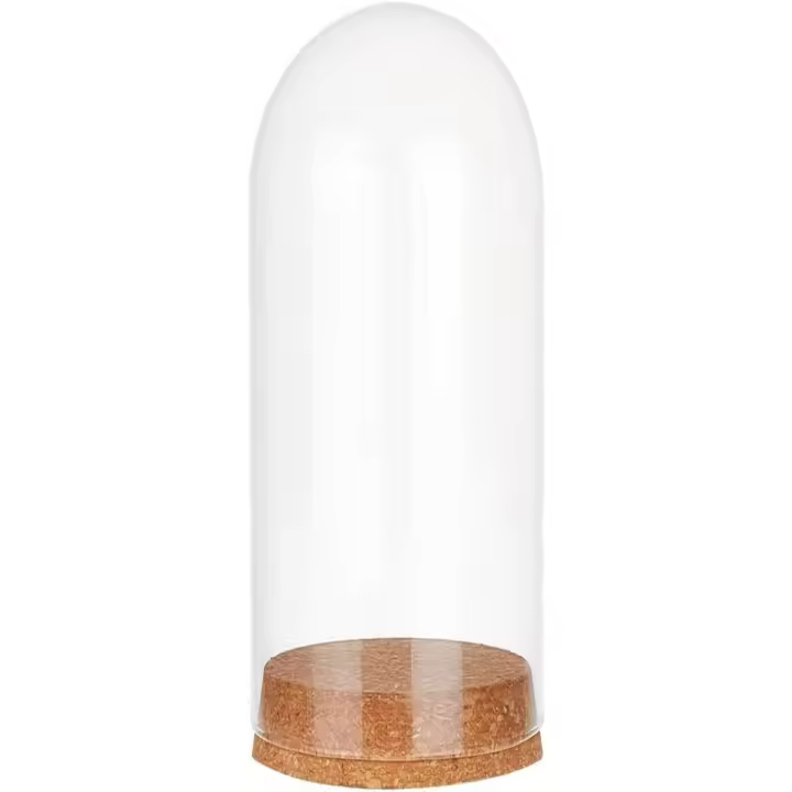 Eternal Cristal Domed Cloche 6.4x3.9" Jarra De Vidrio Transparente Con Base De Madera Para Exposición De Terrarium Y Luz De Hadas - 1