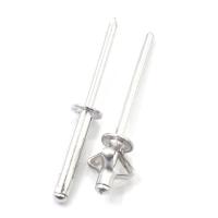 50pcs Tornillos De Aluminio Con Gran Rosca Cabeza Ciega Pull Plata Decoración Tornillo De Púa Fijaciones De Hardware 3.2mm 4.0mm 4.8mm - details 10