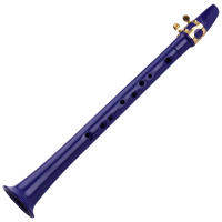 Saxofón Mini De Bolsillo C Con 11 Agujeros ABS Con Boquilla De Alto 4 Piezas De Acrílico 8 Piezas De Almohadillas Dentales 8 Piezas De Reeds Y Carteles De Dedos - details 18