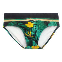 Bragas De Natación Para Hombre Briefs Estampados De Verano Deporte Acuático Pantalones De Playa Traje De Baño Sexy Surf Wear - details 5