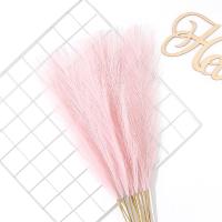 5/10Pcs Bouquet De Pampas Artificiales Flores De Reed Para Decoración De Hogar Jardín Boda Y Fiestas Internas Y Externas - details 21