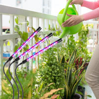Lámpara De Crecimiento Para Plantas 5V Espectro Completo IP65 Impermeable Dimmable Interior 15W 30W 45W 60W Con Tiempo De Crecimiento Luz De Relleno 5 Niveles - details 7