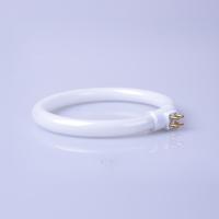 Lámpara Fluorescente Pequeña Blanca Con Tubo Anular 11W 12W 110V 220V Luz Magnifica Anti-Cuatro-Pines Para Escritorio - details 1