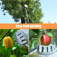 1pc Herramienta De Recogida De Frutas Metálica Cepillo De Manzanas Con Cesta Accesorio De Recolección De Frutas Para El Jardín Herramienta De Jardinería - details 4