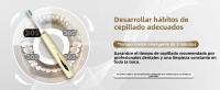 Cepillo De Dientes Eléctrico Seago Con Control Táctil Sin Ranuras Sensor De Presión 5 Modos IPX7 Impermeable Recargable Para Adultos - details 3