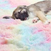 Alfombra Redonda De Peluche Suave Para Niñas Habitación De Princesa Castillo Alfombra Gruesa Decorativa Para Dormitorio Moderno - details 4