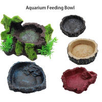 Tazón De Alimentación Para Reptiles Y Tortugas De Resina 10cm Olla De Alimentos Y Agua Para Acuarios Suministros Para Lagartos Y Scorpiones - details 30