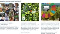 Oleoestepa – Aceite de Oliva Virgen Extra Premium. Frutado Verde, Notas Maduras y Hierba. Extracción en Frío, Alto en Vitamina E. Mejor AOVE (OCU) y Garantía DO Estepa. ¡Sabor y Calidad en Cada Gota! - details 2