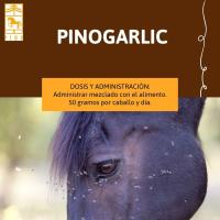 PINOGARLIC, protege contra las picaduras en caballos de Laboratorios Pino. 2072kg - details 1