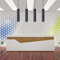 Lámpara Colgante Estilo Nórdico LED 90~260V Moderna Para Sala De Estar Cocina Comedor Iluminación Pendente Metálica Ajustable Graceful - details 14