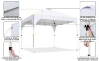 carpa