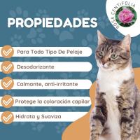 ARMI Champú Gatos Para Todo Tipo De Pelaje 225ml - Champú Gatos Hidratante - Champú Para Gatos 225 ml - - details 2