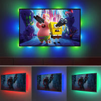 Tira De Luces LED RGB USB 5V Impermeable Para Sala De Juegos Decoración De Retroiluminación De TV Cinta Flexible De Cambio De Color - details 6