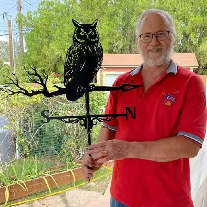 Vane De Animal Simulación De Murciélago Para Decoración De Casa Y Jardín Arte De Hierro Vanea Para Techo Exterior Signo De Granja Exhibición - 1