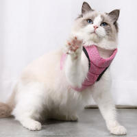 Almohadilla De Gato Para Caminar Prueba De Fuga Suave Ajustable Correa De Perro Y Collar Para Mascotas Ligero Y Resistente - details 8
