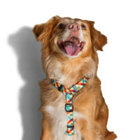 Zeedog | Arnés Antiescape para Perro y Gatos Phanton - details 3