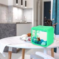 Acuario Pequeño Y Transparente De Mesa En Acrílico Con Luz LED Ambiental Y Bloques De Construcción Para Decoración De Interiores - details 7