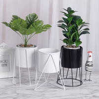 Maceta De Suculentas Creativa Nórdica Para Interior Decoración De Balcones Y Salones Soporte De Metal Para Macetas - details 4
