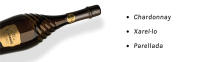 Ars Collecta Blanc de Blancs - Cava Reserva - details 2