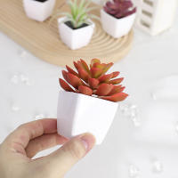 1SET(6PCS) Succulentas Simulación Pequeñas En Macetas Para Decoración De Hogar Balcón Baño Estantería Jardín Mini Realistas 22449ZH6 - details 2
