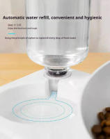 Tazas Para Gatos Y Perros Doble Alimentador De Agua Y Alimentos Inclina 15 Grados Tazas Elevadas Con Botella Automática Para Mascotas - details 3
