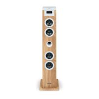 Thomson Reproductor de CD Bluetooth Thomson Torre Multimedia 60W con Carga USB/SD, Radio FM PLL, Caja de Madera y Mando a Distancia - details 0