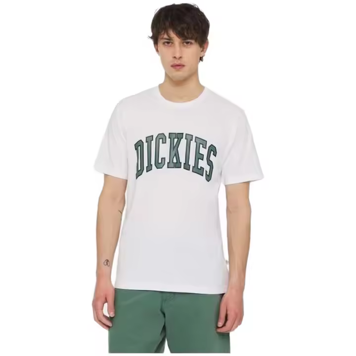 Camiseta de Manga Corta Dickies Aitkin Tee para hombre en color blanco - 1