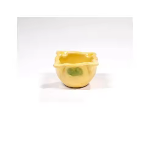 Fackelmann Mortero Amarillo ø90x45mm para Muebles - Fácil de Usar - 1