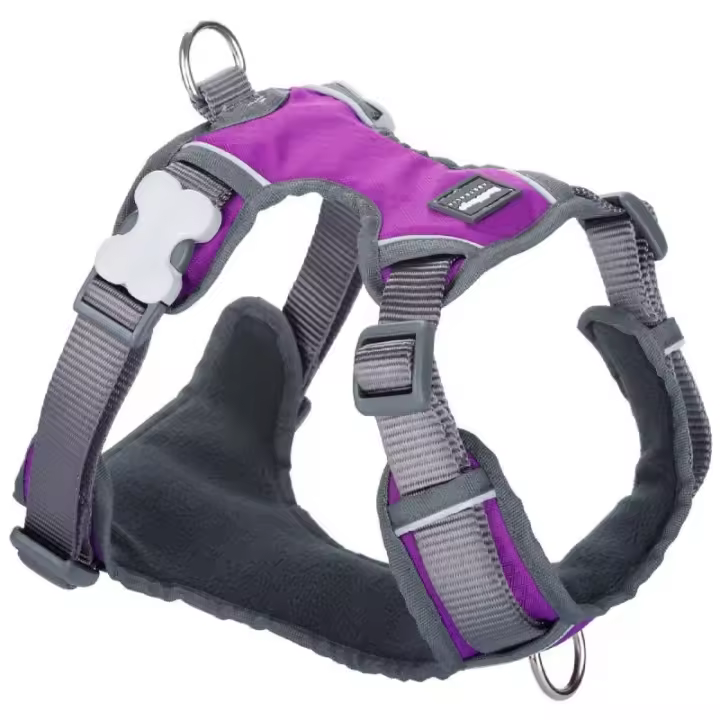 Arnés para Perro Red Dingo Dingo 62-108 cm 72-112 cm Morado XL - 1