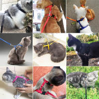 Correa Y Collar De Nylon Ajustable Para Gatos Y Perros Con Tracción Halter Para Mascotas Productos Para Gatos Y Perros - details 6